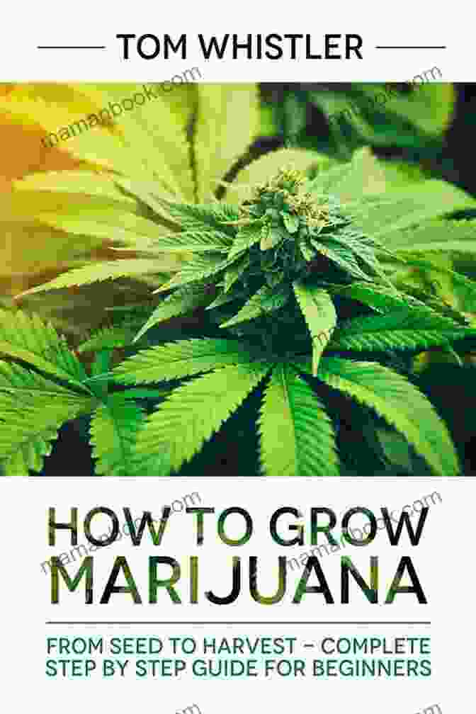 A Comprehensive Guide To Growing Cannabis, Covering Everything From Seed Selection To Harvest And Curing Cannabis Grower S Handbook: The Complete Guide To Marijuana And Hemp Cultivation