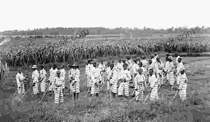 A Group Of Convicts Working On A Plantation During The Convict Leasing Era Slavery By Another Name: The Re Enslavement Of Black Americans From The Civil War To World War II