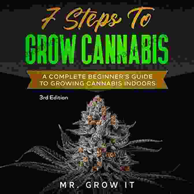 Cannabis Strain Selection Beginners Guide To Cultivating Cannabis: Tips Tricks From An Experienced Cannabis Grower