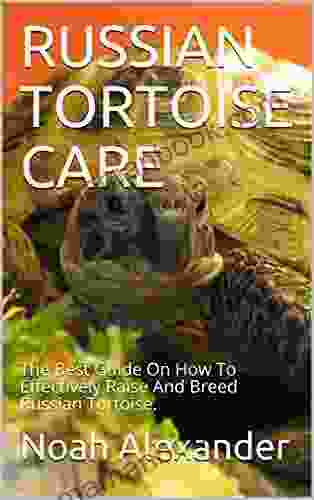 RUSSIAN TORTOISE CARE: The Best Guide On How To Effectively Raise And Breed Russian Tortoise