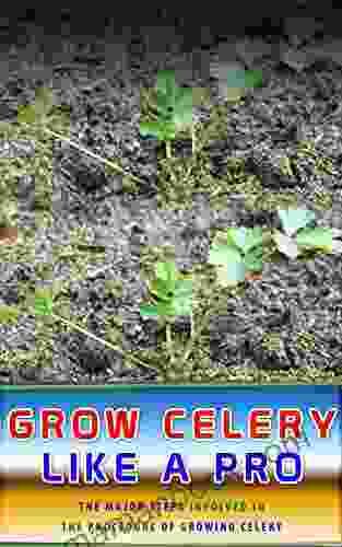 Grow Celery Like A Pro: The Major Steps Involved In The Procedure Of Growing Celery