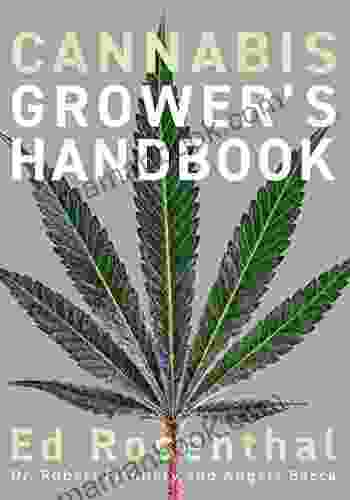 Cannabis Grower S Handbook: The Complete Guide To Marijuana And Hemp Cultivation