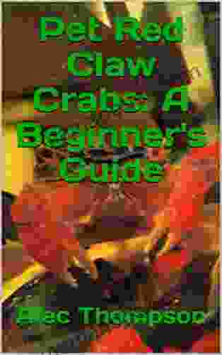 Pet Red Claw Crabs: A Beginner S Guide